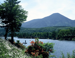「白樺湖」～四季折々、花に湯に、遊びにあふれる湖畔のリゾート