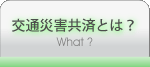 交通災害共済とは？　～ What ?