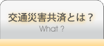 交通災害共済とは？　～ What ?