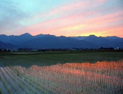 「詩のような時、心なごむ風景」