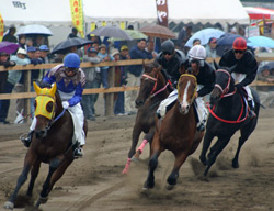 「望月駒の里草競馬大会」