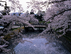 「龍岡城五稜郭」