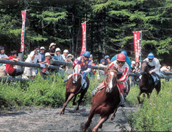 「高ボッチ高原観光草競馬大会」