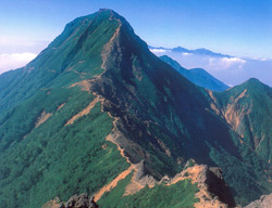 「八ヶ岳」～可憐な高山植物と原生林、憧憬をあつめて連なる名峰～